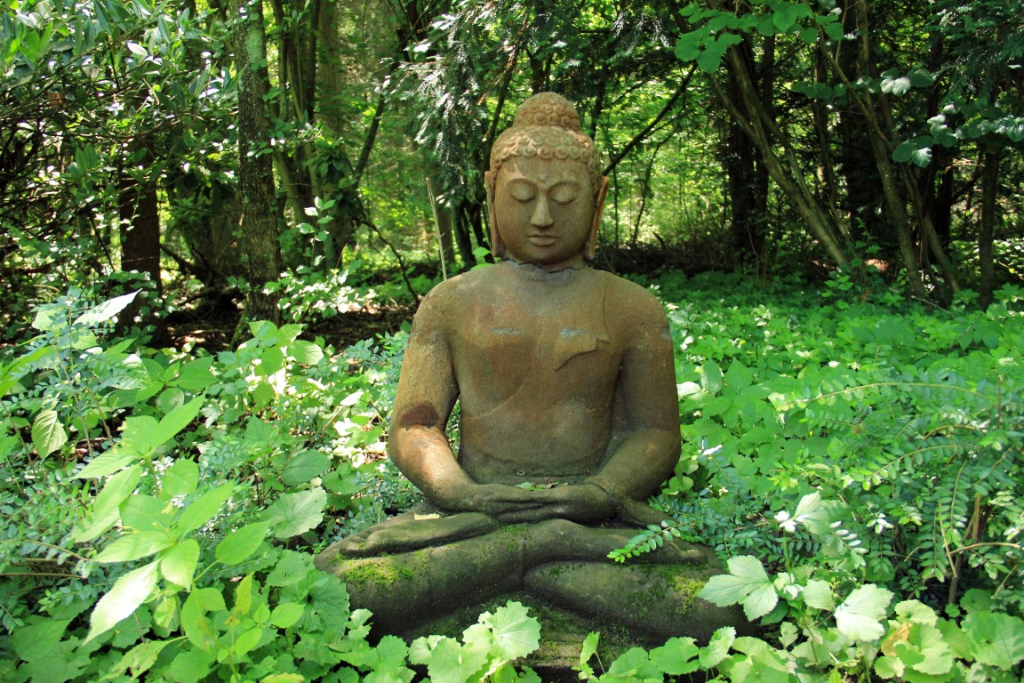 buda meditatie - GroenvanHart yoga praktijk en centrum voor lichaam en balans Texel